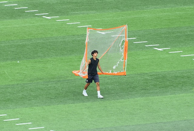 浦与多特