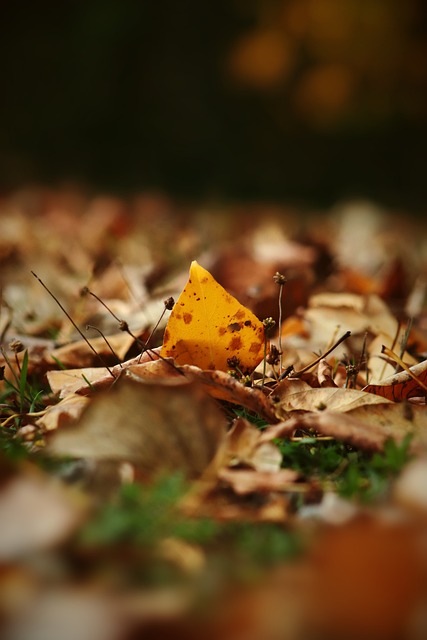 对抗的训练 对抗的训练