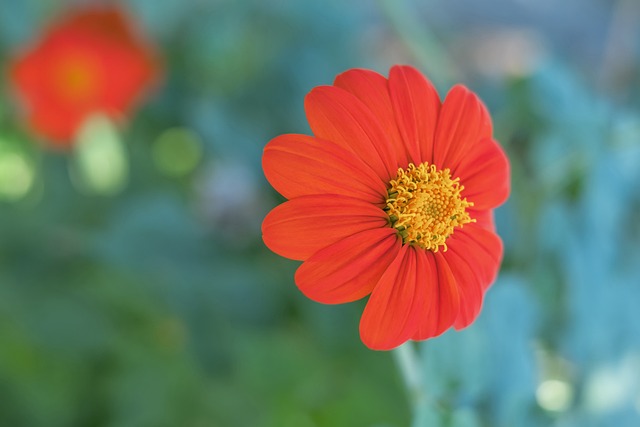 探索每条绿 探索每条绿