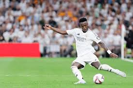 独行侠的领 独行侠的领