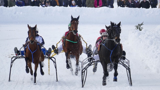 除了赛场上 除了赛场上