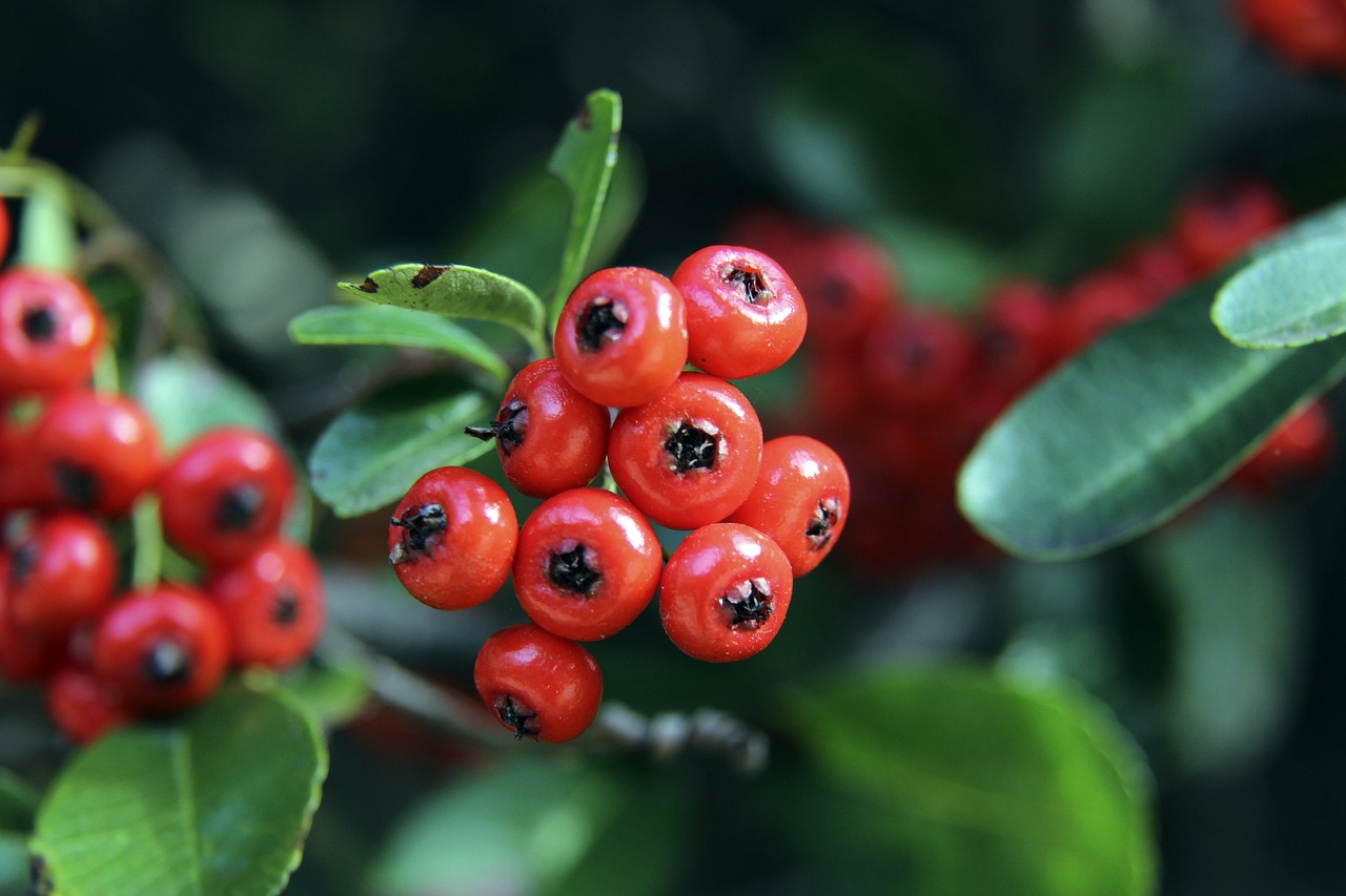 综述与启示 综述与启示