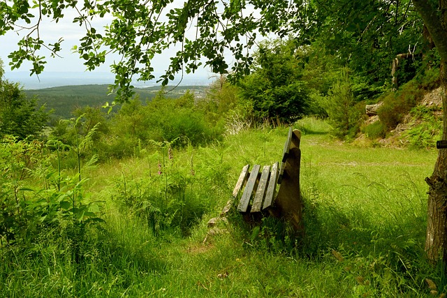 不仅是个人 不仅是个人
