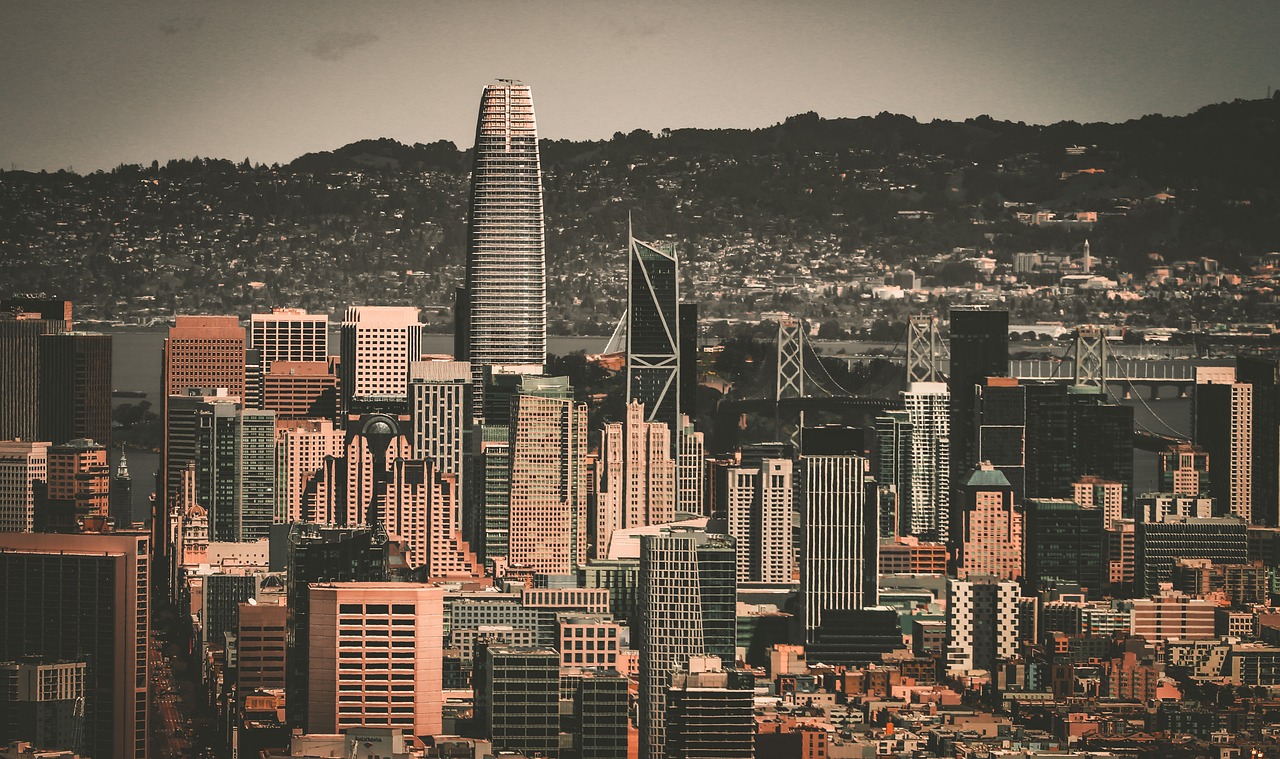 泰山B队球 泰山B队球