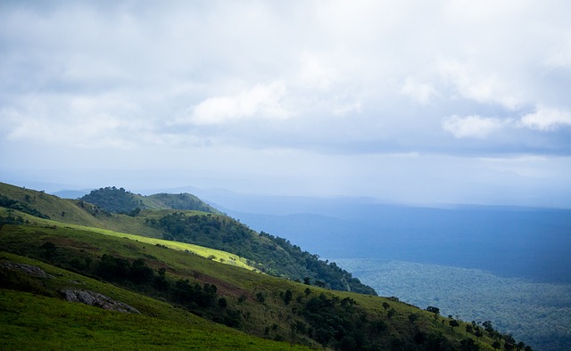 但为美国提 但为美国提
